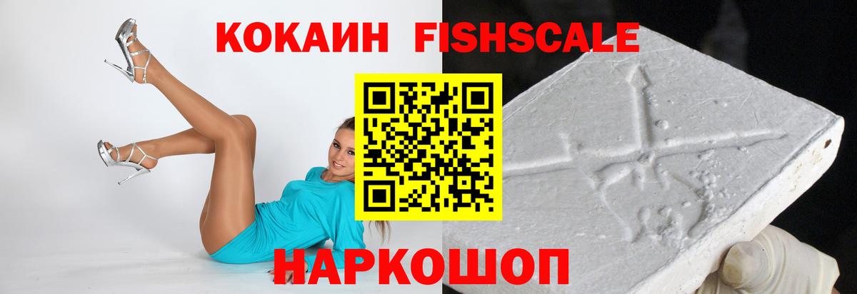 купить наркотики цена  Cocaine Fish Scale  Вход с VPN  Борзя 
