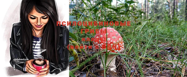 марки nbome Осинники