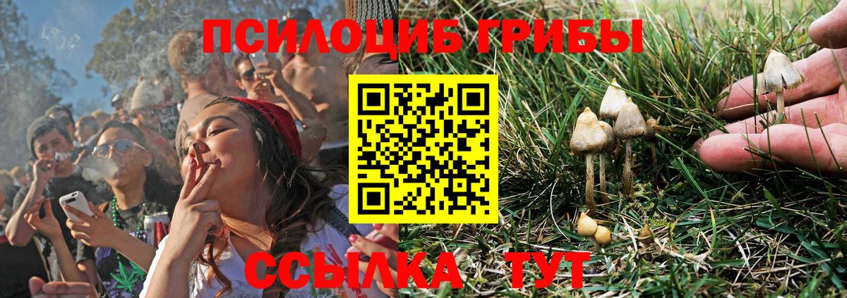 Галлюциногенные грибы Magic Shrooms Борзя