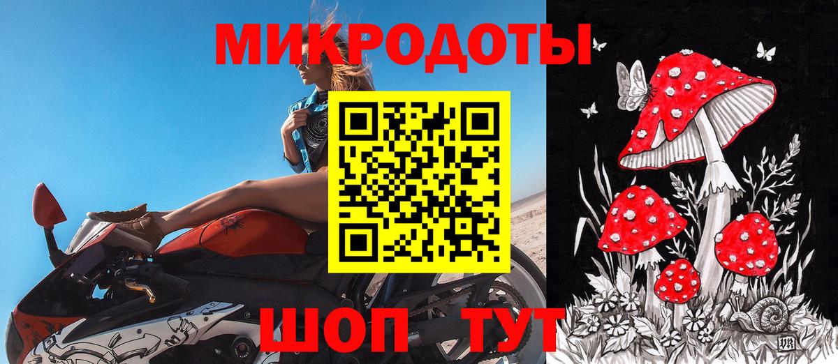 Псилоцибиновые грибы прущие грибы  Борзя 