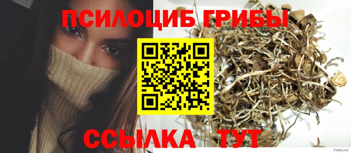 Галлюциногенные грибы мицелий  Вход с VPN  как найти   Борзя  Галлюциногенные грибы Magic Shrooms 